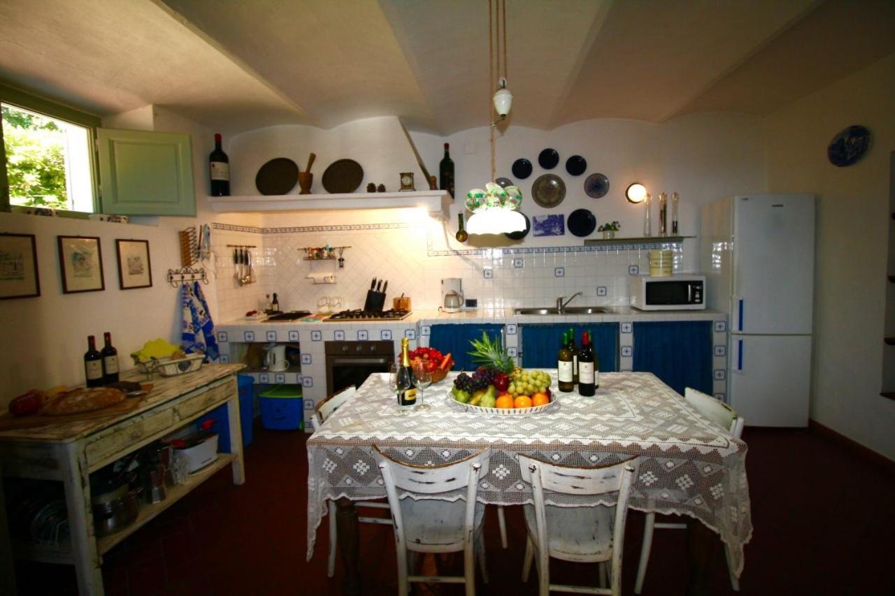 Villa Paradiso Castiglioncello Εξωτερικό φωτογραφία